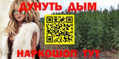 амф Лесосибирск